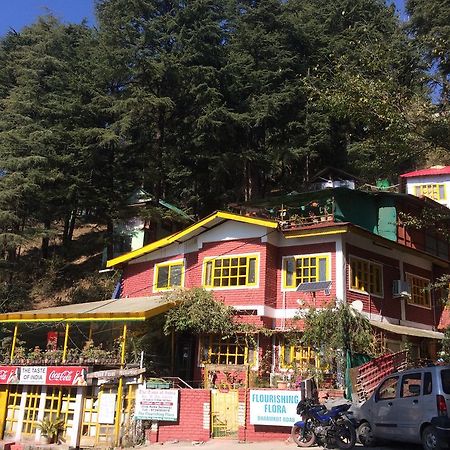 ماكليود غانج Mcleodganj Bed & Breakfast المظهر الخارجي الصورة