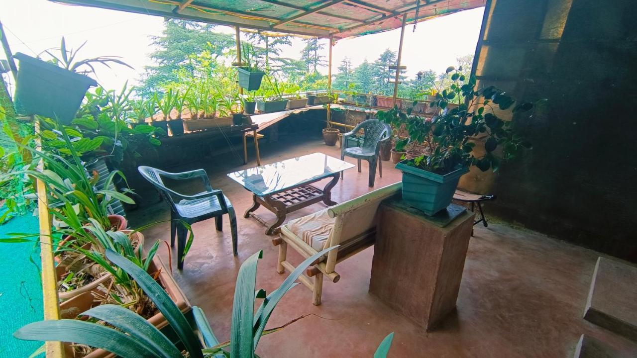 ماكليود غانج Mcleodganj Bed & Breakfast المظهر الخارجي الصورة