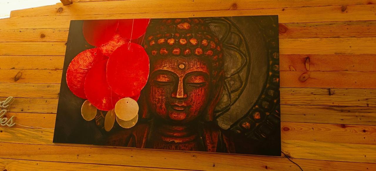 ماكليود غانج Mcleodganj Bed & Breakfast المظهر الخارجي الصورة