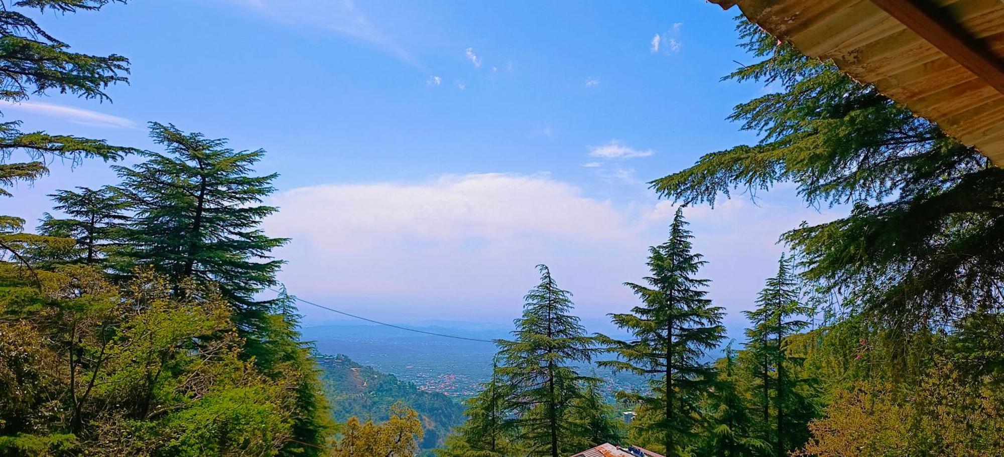 ماكليود غانج Mcleodganj Bed & Breakfast المظهر الخارجي الصورة