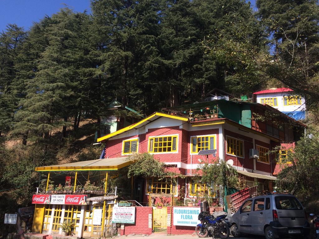 ماكليود غانج Mcleodganj Bed & Breakfast المظهر الخارجي الصورة