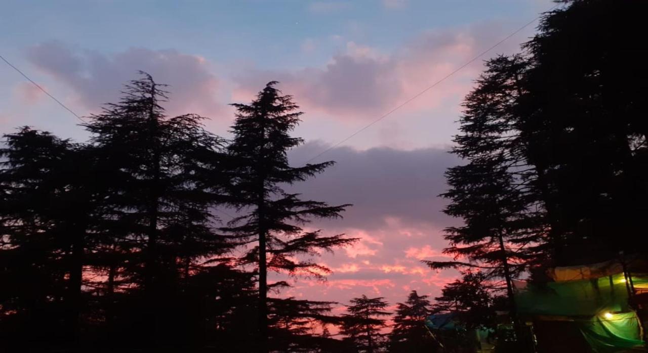 ماكليود غانج Mcleodganj Bed & Breakfast المظهر الخارجي الصورة